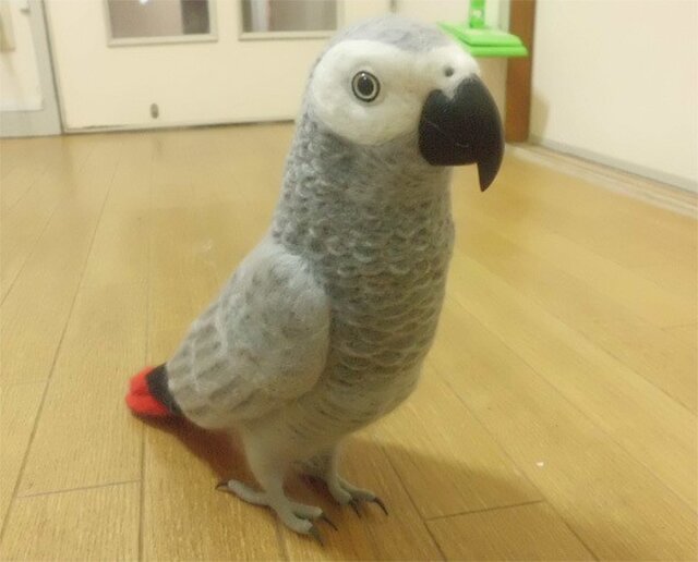 リアルサイズ！ ヨウム ぬいぐるみ 受注作成 羊毛フェルト 羊毛インコ 羊毛ぬいぐるみ 工房小鳥屋さん | iichi  日々の暮らしを心地よくするハンドメイドやアンティークのマーケットプレイス