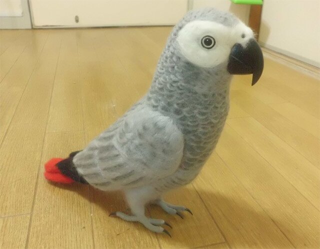 リアルサイズ！ ヨウム ぬいぐるみ 受注作成 羊毛フェルト 羊毛