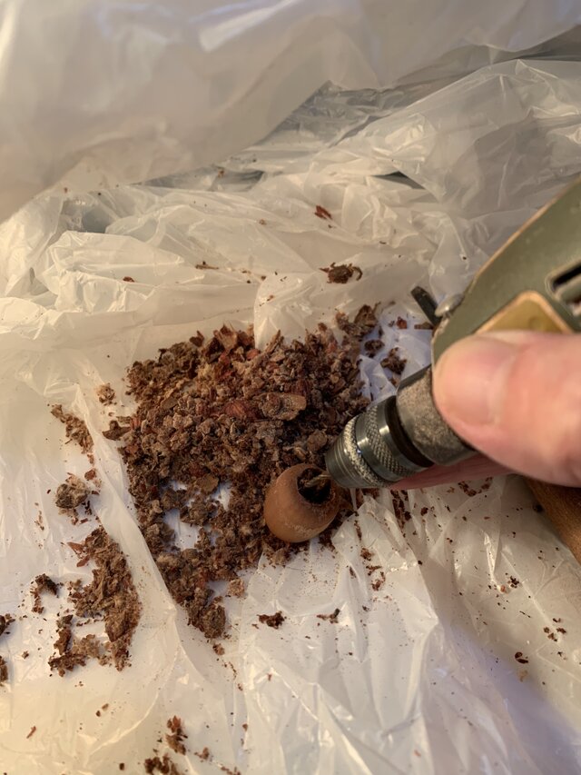 どんぐりのキーホルダーS | iichi 日々の暮らしを心地よくする