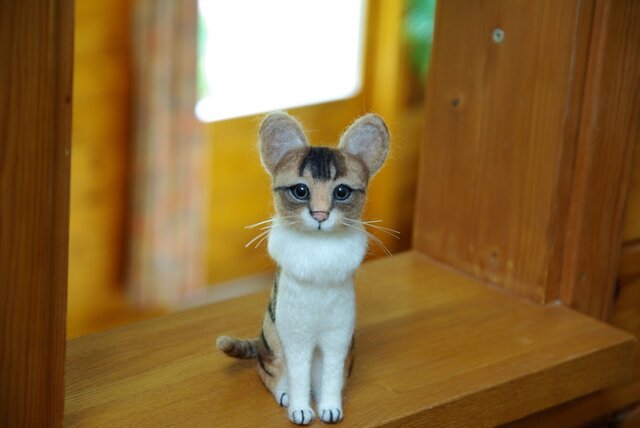 K様 【オーダー キジトラ白猫ちゃん】ご予約品 | iichi 日々の暮らしを