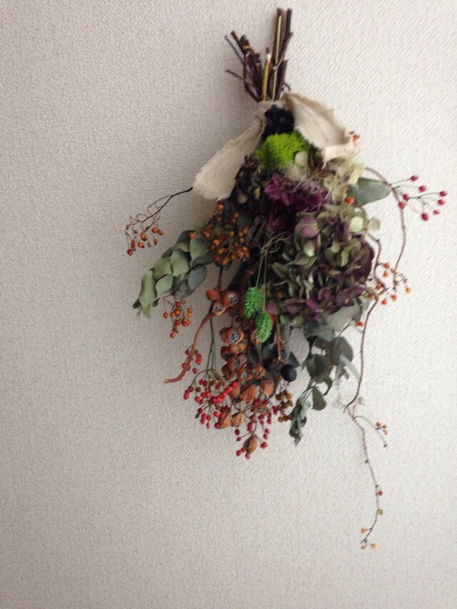 ツルウメモドキの姿  スワッグ