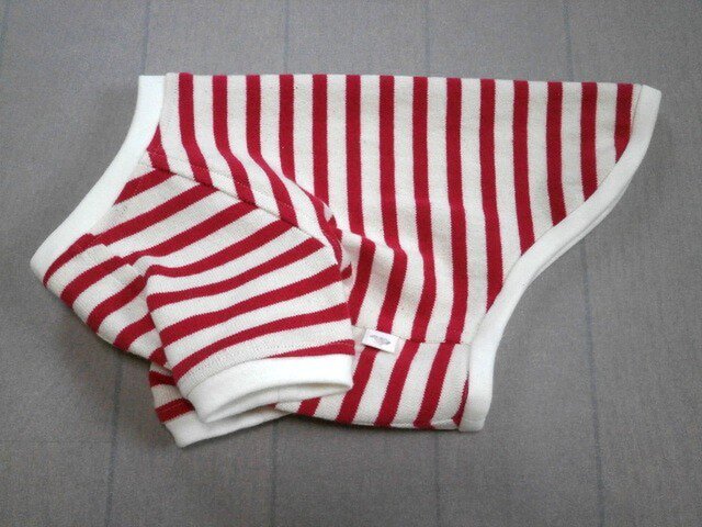 犬服 再販:小型犬用ラグランTシャツ(ボーダー)の画像1枚目