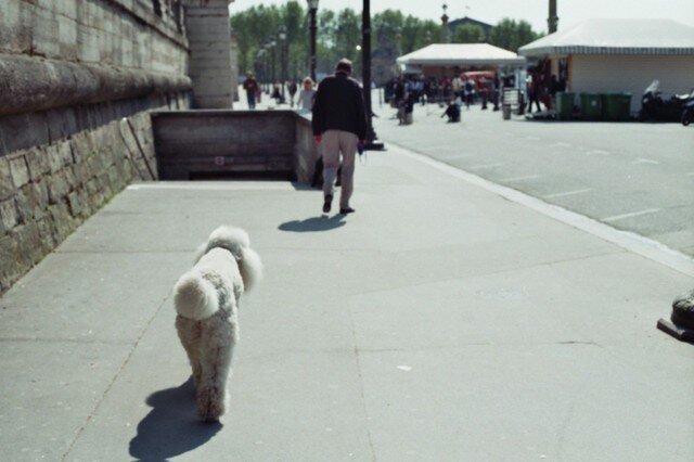 【額付写真】道案内の画像1枚目