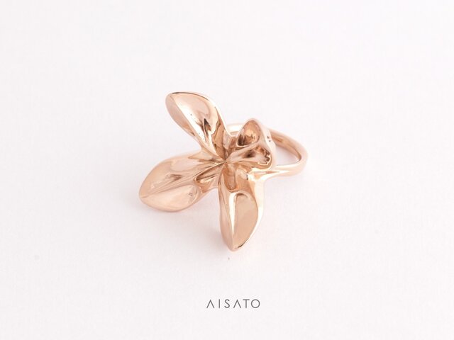 Helix Ring pinkgold へリックスリング ピンクゴールド | iichi 日々の