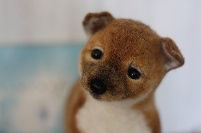 赤ちゃんだもん!!!コロコロ羊毛フェルト リアル柴仔犬の画像1枚目