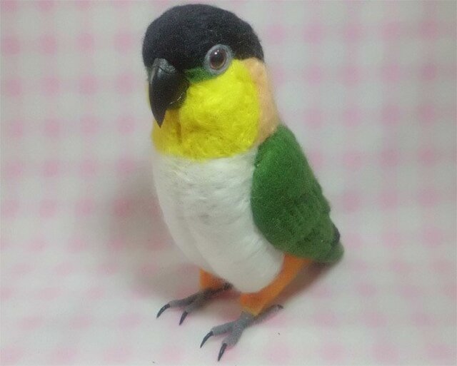 リアルサイズ♪ ズグロシロハラインコ 中型インコ羊毛フェルト 羊毛