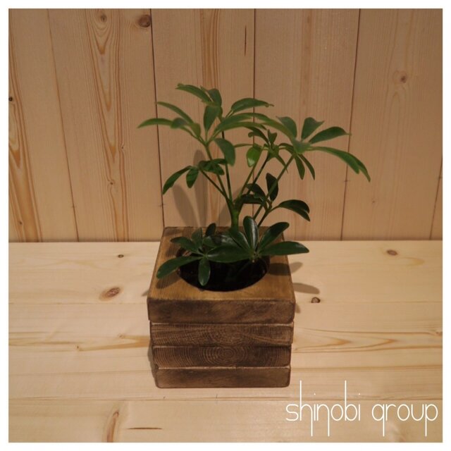 【ケーバブー】植木鉢 鉢 観葉植物 インテリア 小物入れ 雑貨の画像1枚目