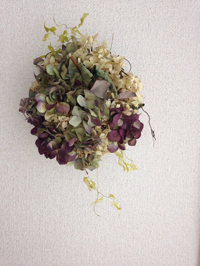 秋色アジサイに恋をして