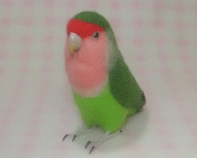 リアルサイズ♪ コザクラインコ ノーマル(抹茶色) 羊毛フェルト