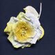 グレーとイエローのグラデーションの薔薇の画像
