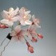桜の簪(かんざし)  -光降る朝-の画像