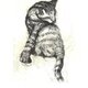 猫の銅版画Bの画像