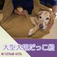 大型犬用抱っこ紐（マスタード） 麻55%綿45%の画像