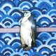 螺鈿調シェル帯留★「輝くシェルの ペンギン」の画像