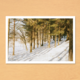 ポストカード No.1 『 Lulea / Sweden朝の森 』2枚セットの画像