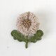 flower brooch B - ライトベージュの画像