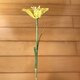 ラタン（籐）の花　～黄色のユリ～の画像