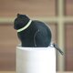 お座り子猫のコインケース・ブラック×ピスタチオ[受注制作品]の画像