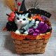 アメショ猫ちゃんのハロウィンアレンジMの画像