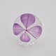 四つ葉ドロップ Ｌ (パープル)