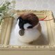【再販】ちいさなぬいぐるみ*和風飾りのすずめ