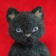 黒ねこの画像
