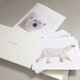 ホッキョクグマのポストカードセット（12枚入）の画像