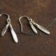 アオダモの種のピアス
