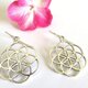 seed of life earrings  命の木の実ピアスの画像
