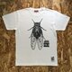 昆虫 デザイン Tシャツ ／ミンミンゼミ Tシャツの画像