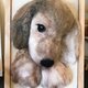 羊毛フェルト・オーダーメイド・壁掛け.スタンドタイプ\12,000～