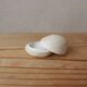 ＊限定品 育てるウツワ 香合 白 蓋物 地シリーズ　の画像