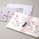 秋桜のレターセット〔期間限定〕の画像