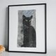 黒猫の画像