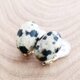 Dalmatian Jasper earringの画像