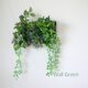 光触媒加工　多肉植物　リモート背景　ウォールグリーン　アーティフィシャルフラワーの画像