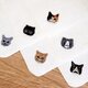 猫さん刺繍の白い泉州ハンカチタオル♬の画像