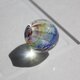 蜻蛉玉　〜墨流／虹〜　2021-22の画像