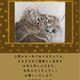 寅年年賀状「虎の親子愛」5枚1セットの画像