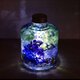 『星屑の森』プリザーブドフラワーとクリスタルのメルヘンハーバリウムライトの画像