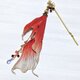 ayashi 様　オーダー品　ヒレの簪の画像