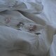 Pressed flowers-pullover