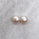片穴 淡水真珠 パール ペア 2粒 6~6.5mm ボタン セミラウンド フラット ルース ピアス・イヤリング用の画像