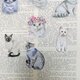 Franceグラシンペーパーの袋12枚　&猫たちのseal10枚の画像