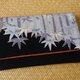 個性派のお懐紙入れ（竹）
