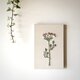 【一点もの】刺繍　ファブリックパネル　『Flower.』の画像