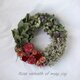 Rose wreath of may joyの画像