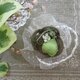 コサージュ Sサイズ　籐と水引を使用　品名:可愛いフウセンカズラの画像