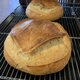 Sourdough (天然酵母サワードウ)