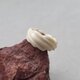 鹿の角 リング 約11.5～12号の画像